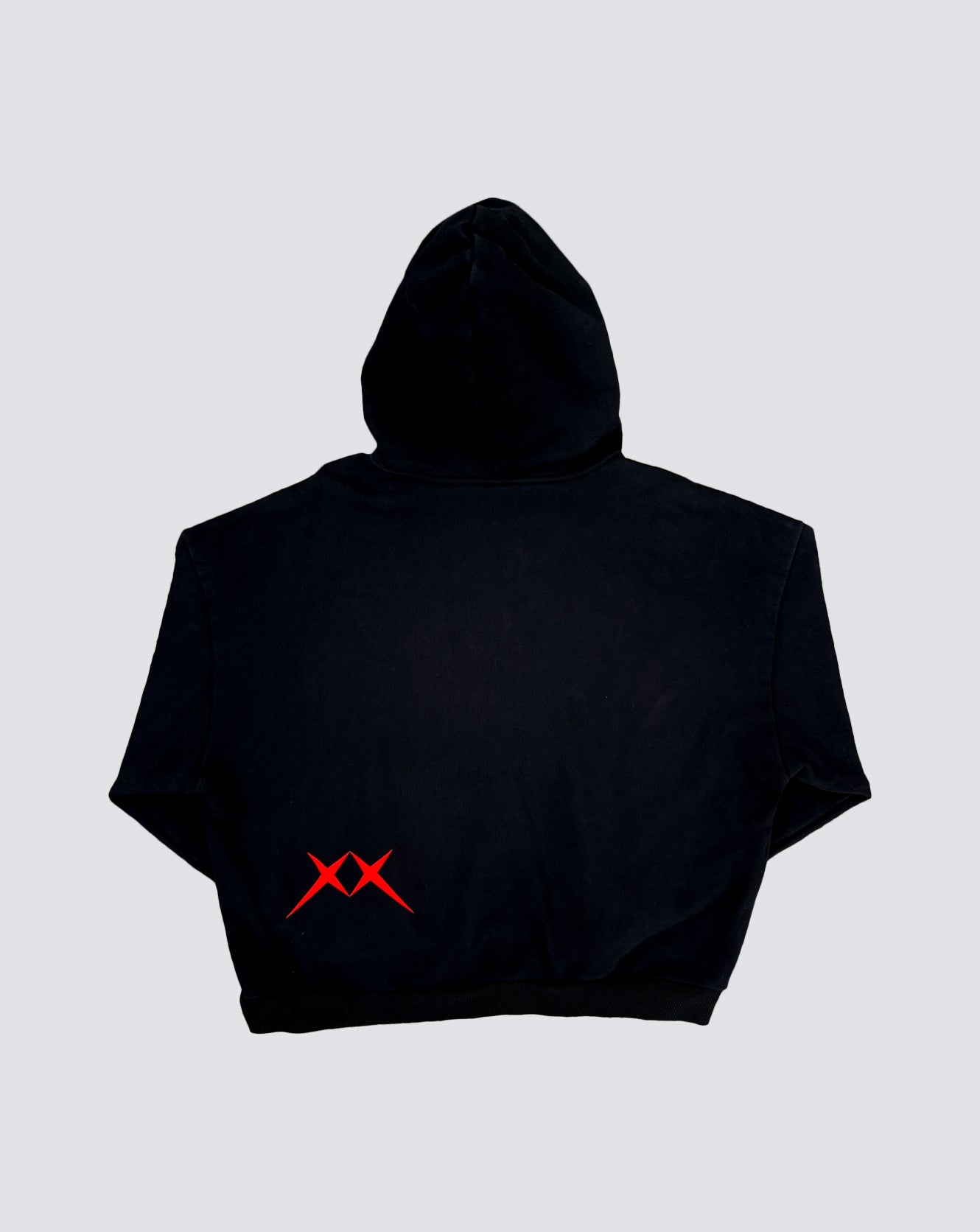 IGT HOODIE